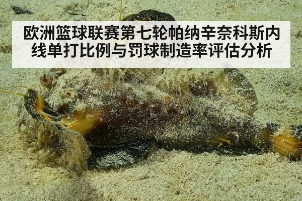 欧洲篮球联赛第七轮帕纳辛奈科斯内线单打比例与罚球制造率评估分析